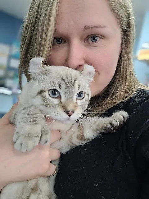 Today was a big day at our shelter, we had our annual bazar, so as a treat here’s our new baby Simba (with our boss Émilie). He’s only 5 months old old! 
