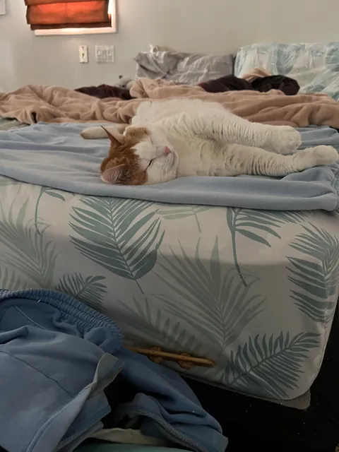 I lost my Baby, I’m heartbroken