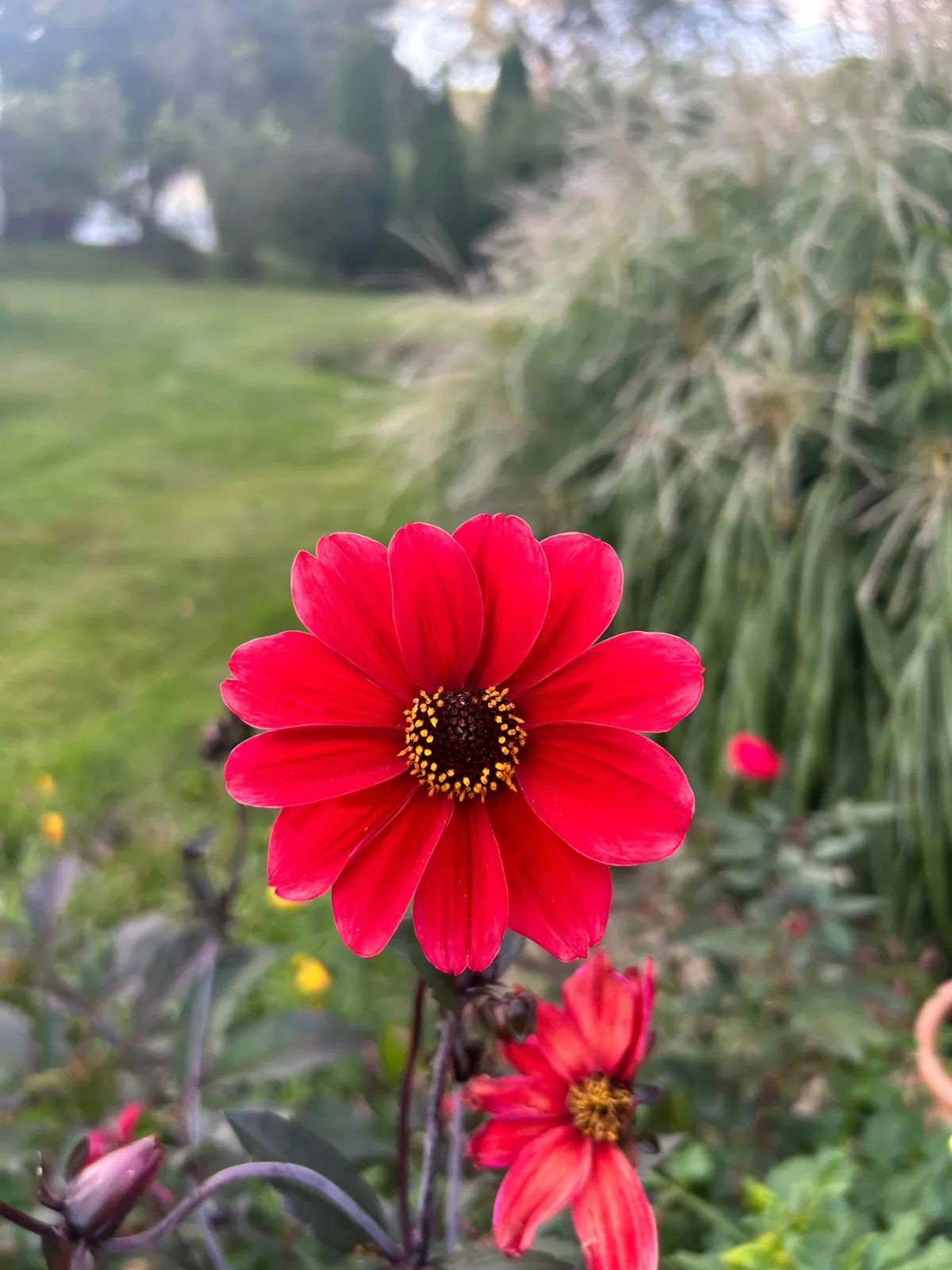 Reaping what I sowed as they say.