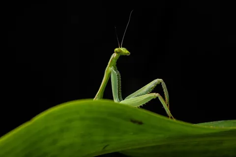 🔥🔥the Best funny nature pics