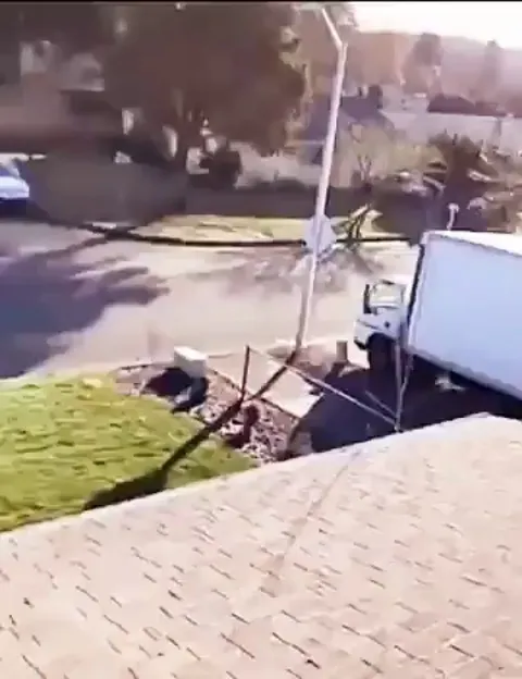 Just wanted a better view to watch for you coming home