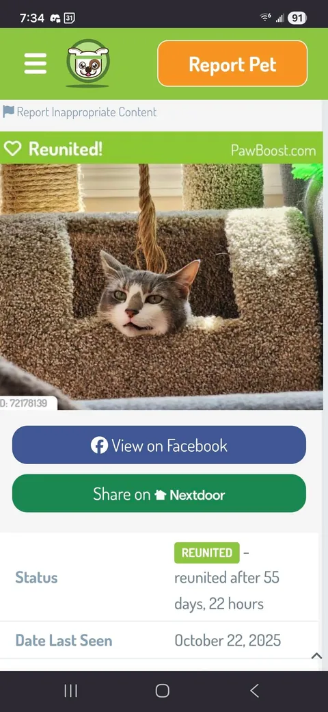 A lost kitty success story