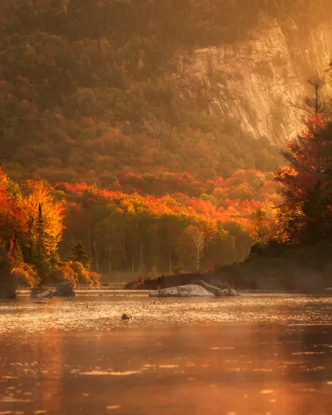 Just me, the loons, and the warm morning light... Vermont. [OC][3000x2400]