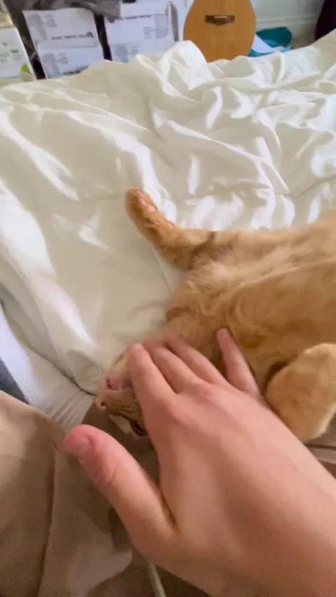 Does he have no survival instincts?