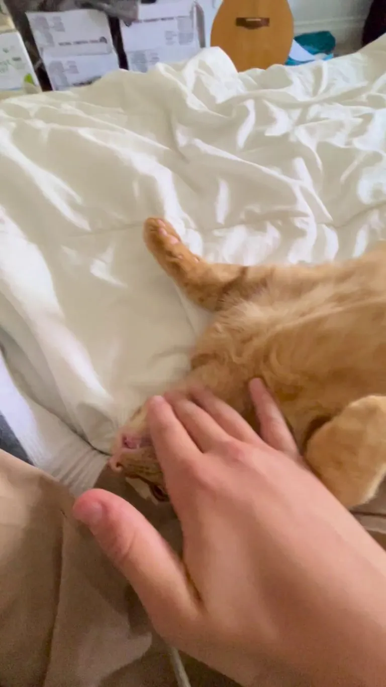 Does he have no survival instincts?