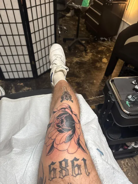 Got my knee blasted today by The Nooj, Tampa FL, Bed of Roses
