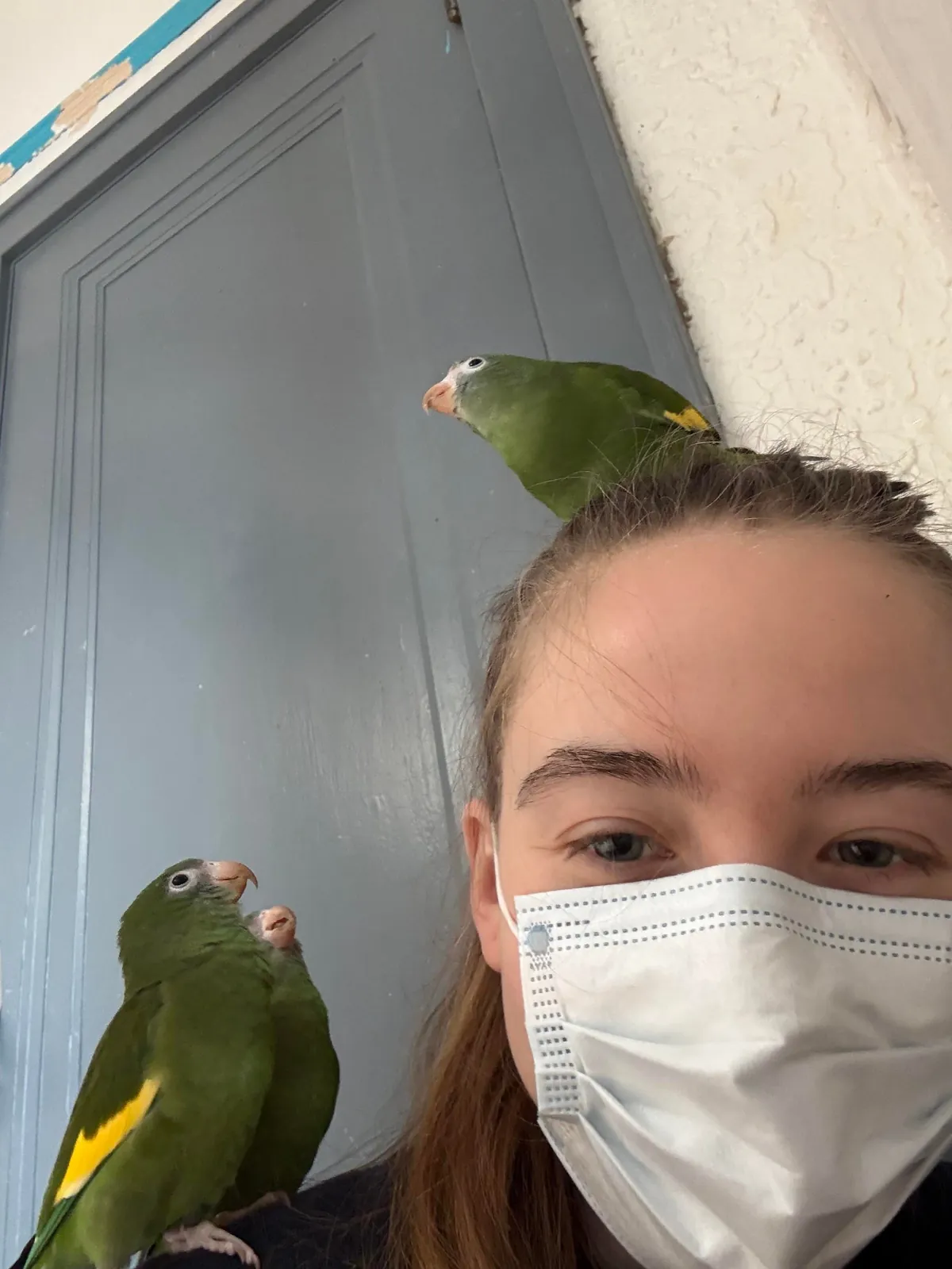 f22 no way you can hurt my feelings but try your best (orphan, vegan, and i think i can talk to trees)