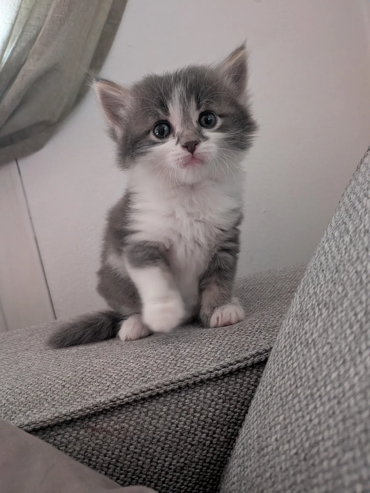 This is honey, and honey is sweet like honey