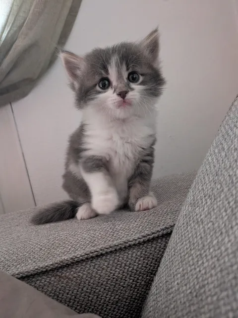 This is honey, and honey is sweet like honey