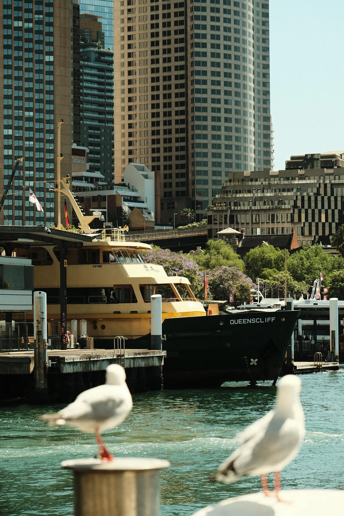 Our first week in Sydney