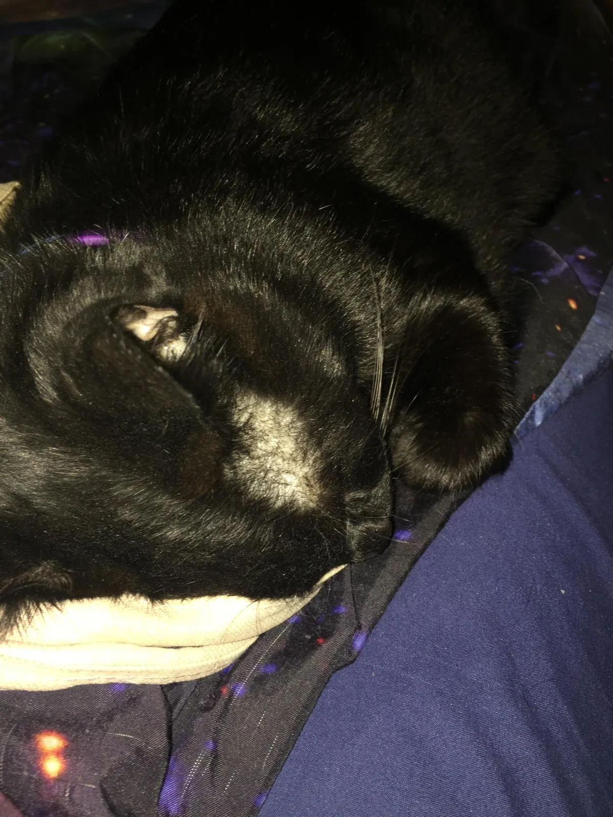 Heaven just got a little more BADASS!!