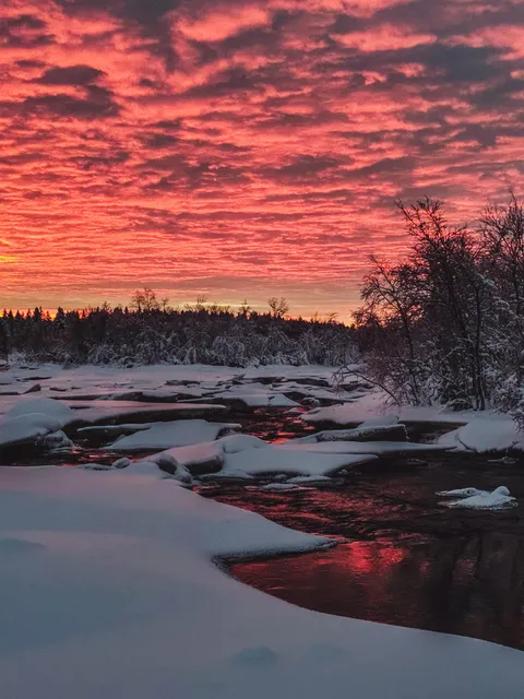 Fiery Sunset Coloring A Freezing Stream, Lapland, Finland [OC] (1511x2015)