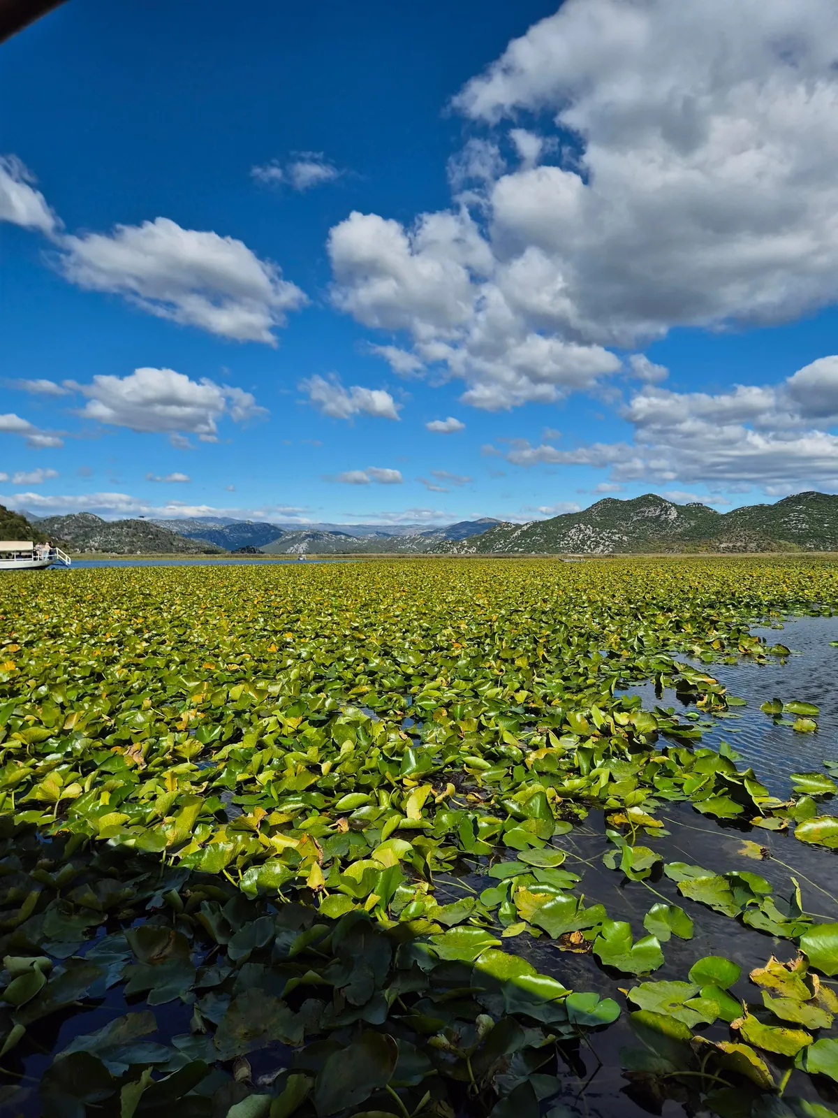 Trip Report: Serbia, Bosnia, and Montenegro