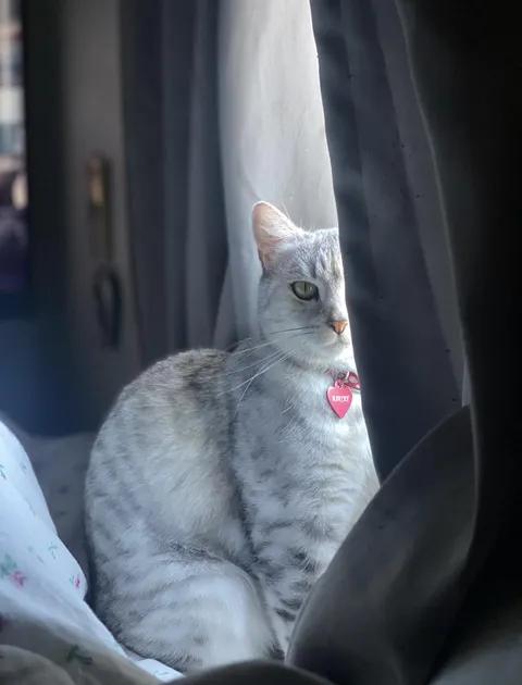 she thinks she’s mysterious 