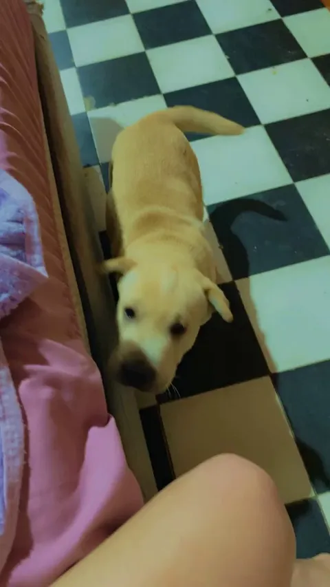 Too small to pay taxes. Big enough to melt hearts.