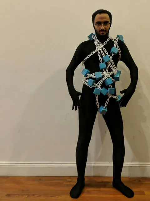 For halloween I dressed up as 'the blockchain'