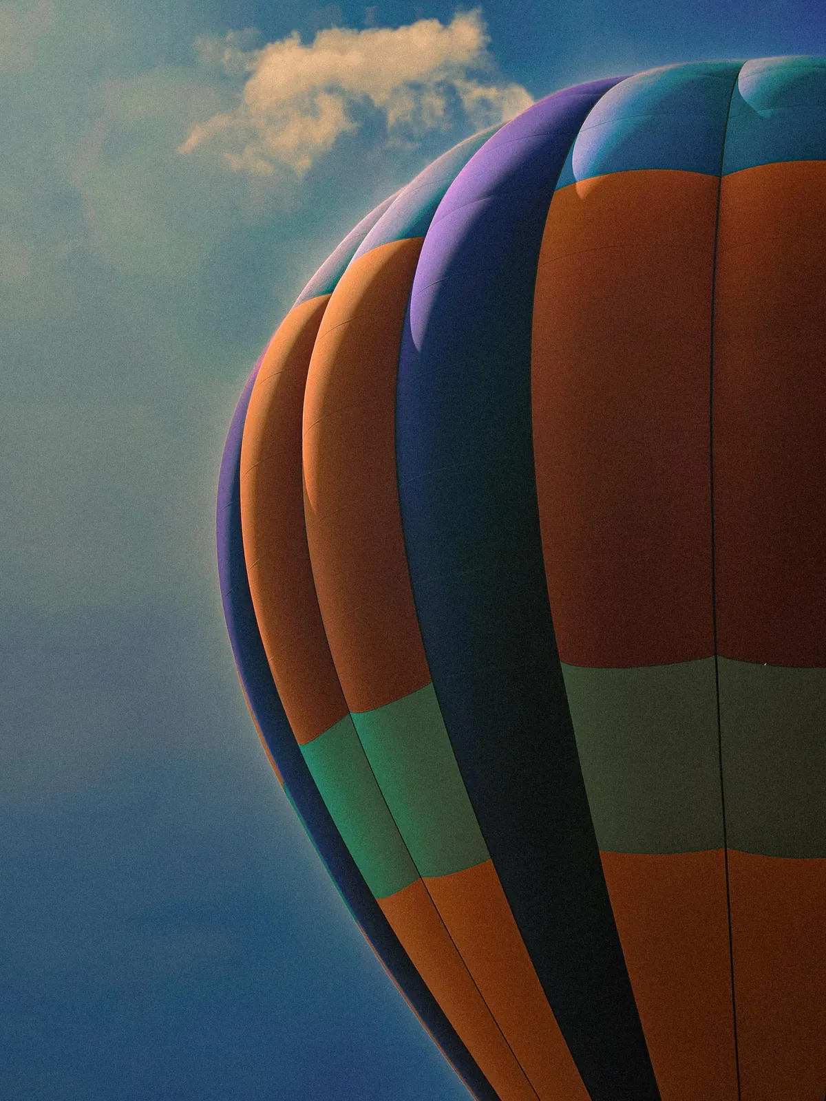 A picture I took a few months ago