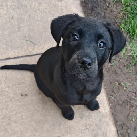 I wasn't digging and I have no idea why I'm covered in dirt..