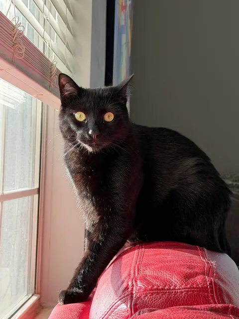 It Feels Like You Blink—Then Suddenly They’re Full-Sized!