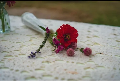 Update on the flowers my mother grew all summer for my wedding!