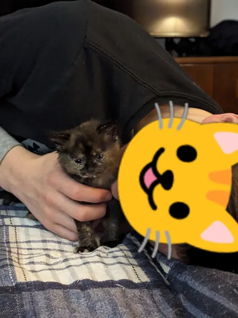 Updates on the sweet ice princess, Elsa!