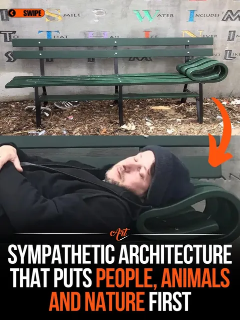 Design that puts People, Animals and Nature first.