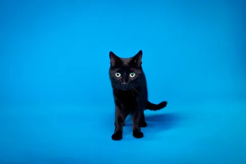 She got her photos taken professionally for charity!