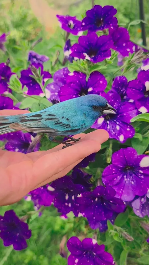 Went out to do some gardening and made a new friend in the process 🥰