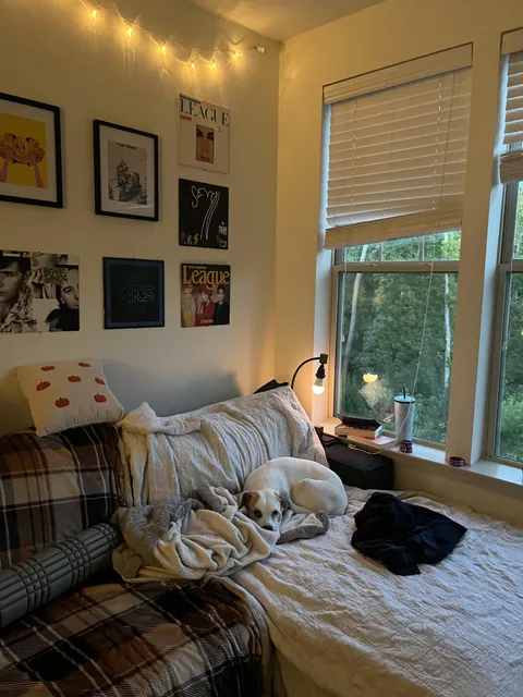 Reading corner in our very small apartment 
