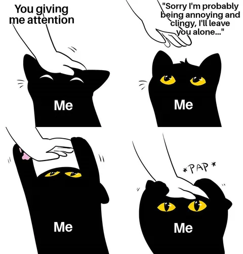 Yes. I'm newly in love. 