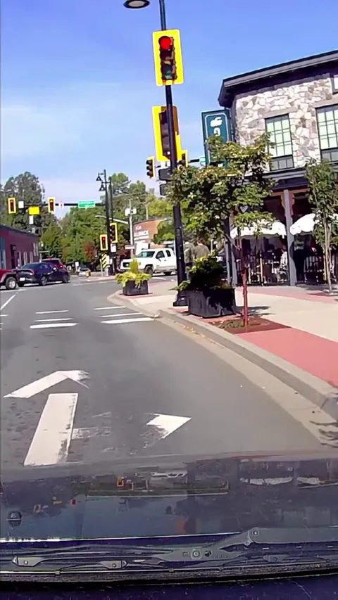 Between you and me, this intersection is the main reason I got a dashcam [OC]