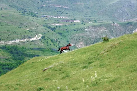 The lovely rural side of Armenia