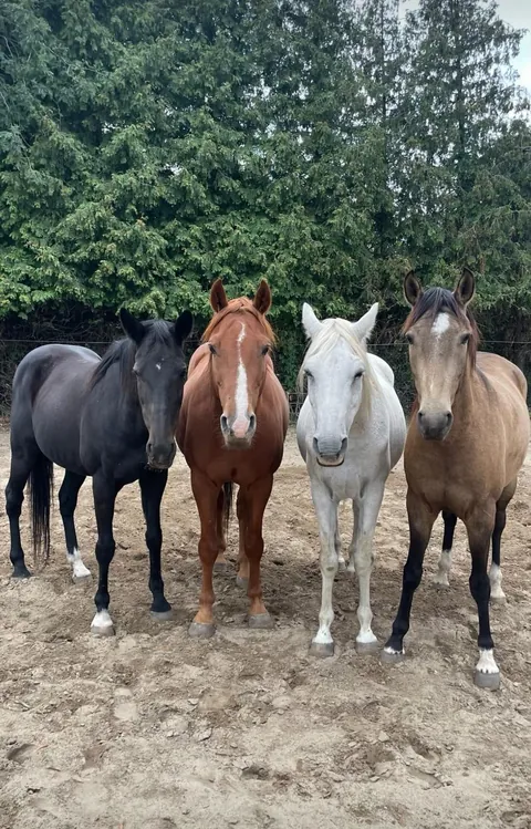 My girls just staring at my soul like that🤣😭 They have new hairstyles tho!