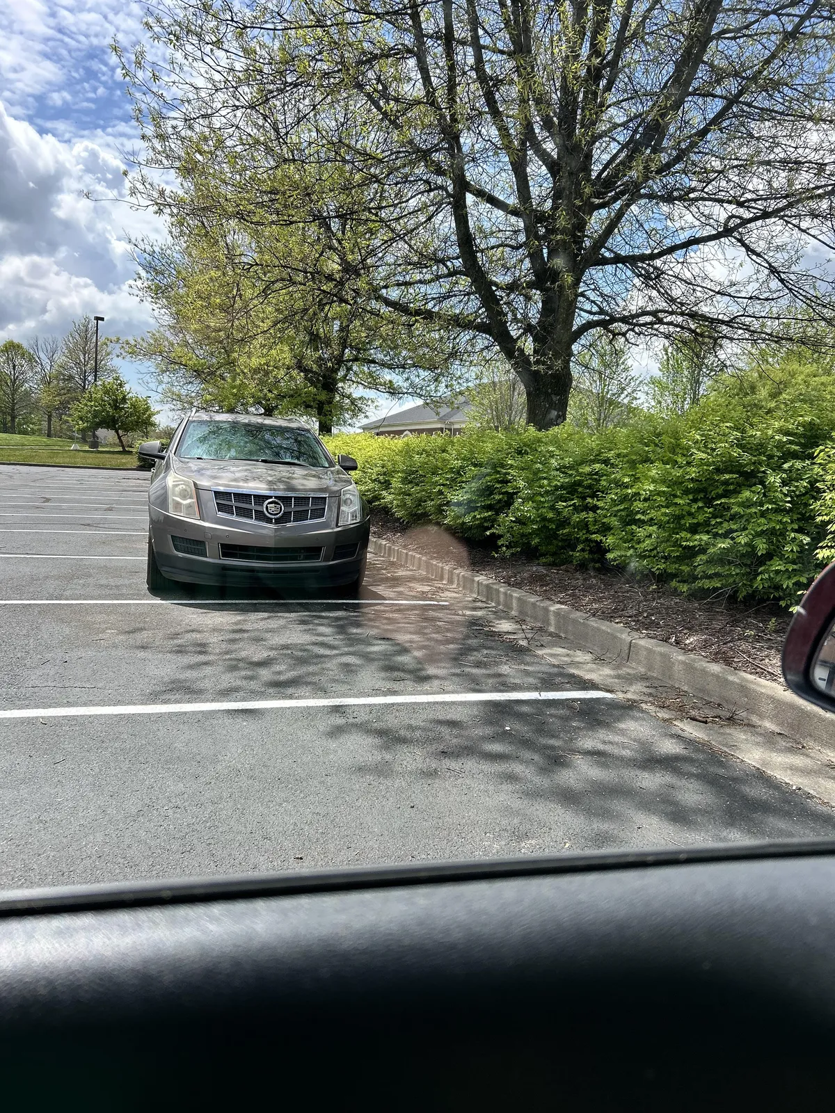 I was hoping not to be stared down while I ate lunch in the corner of a massive empty parking lot but oh well