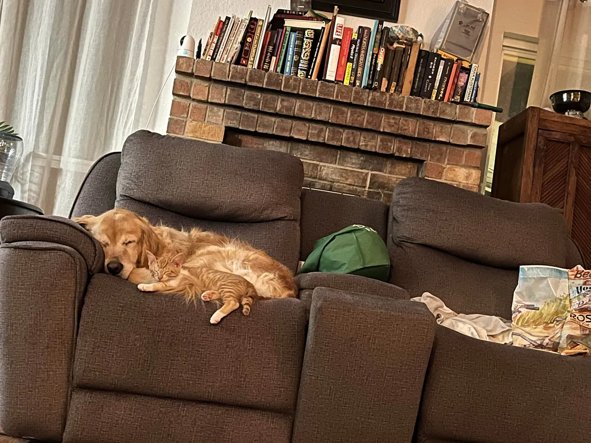 JimJim loves his Clover dog