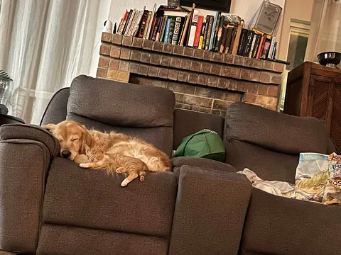 JimJim loves his Clover dog