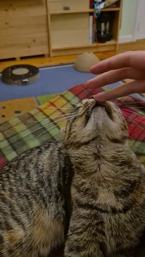 Her obsession with my fingers is very silly 😊