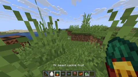 why are the sniffers called "mr beast" in pirate english