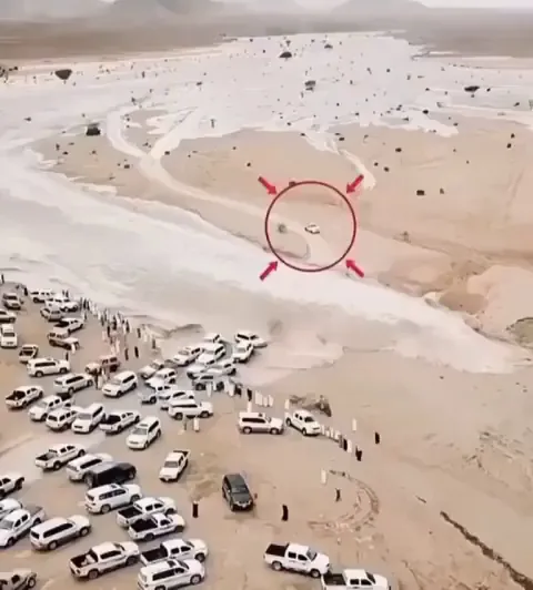 This guy successfully executed a crazy plan to escape from a flood