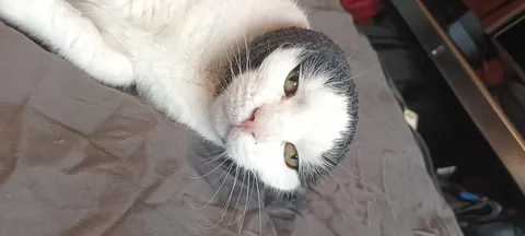 Am I safe sleeping tonight, or is she plotting revenge?