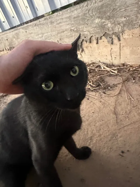 I think I really fucked up :(