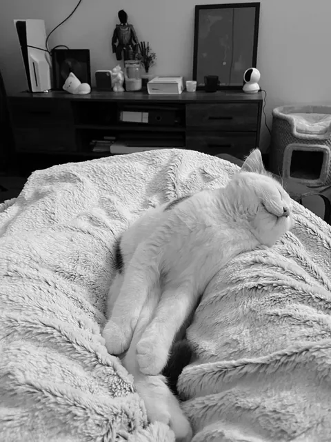 A little sleepy cloud ☁️🤍