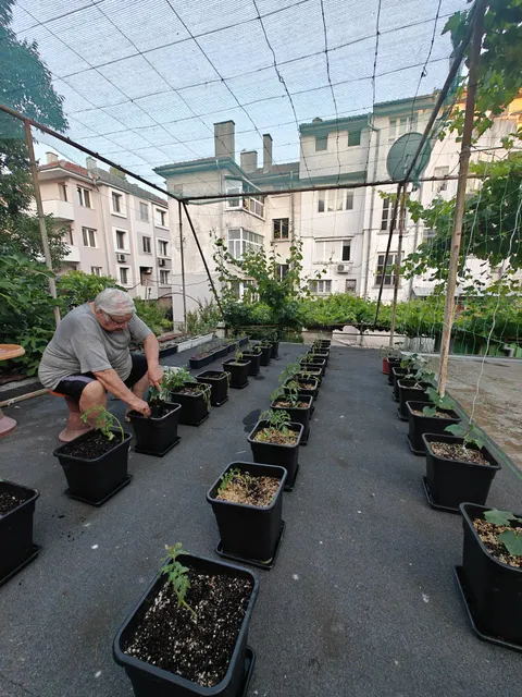 My 80y neighbor roof top garden