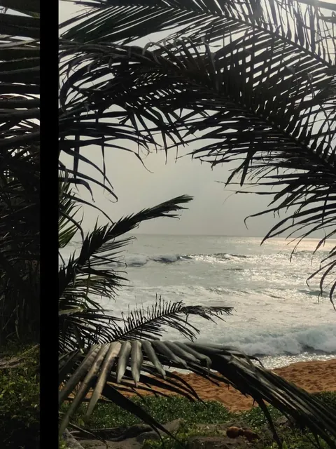 Sri Lanka : sun, tuk-tuks and mild disappointments.