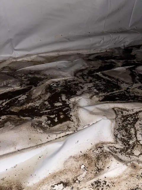 Home buying disaster..