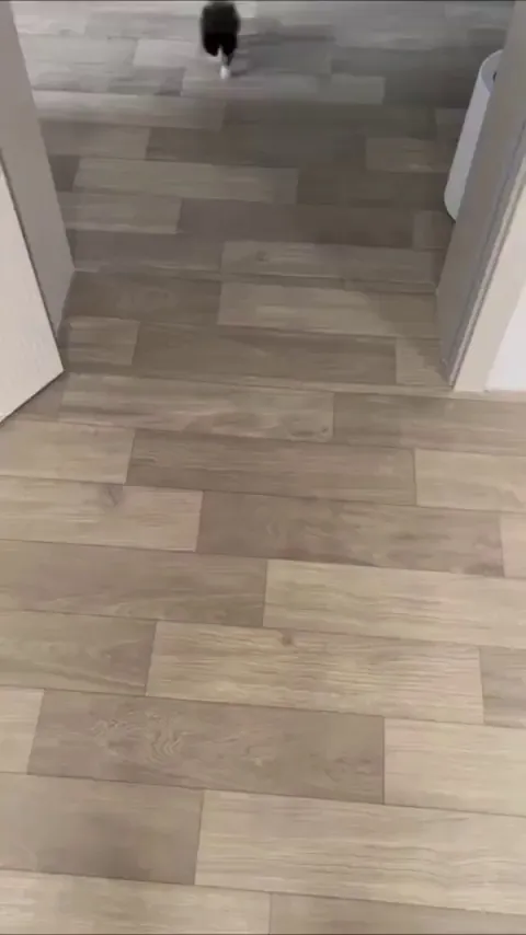 ᴵˡˡᵉᵍᵃˡˡʸ ˢᵐᵒˡ