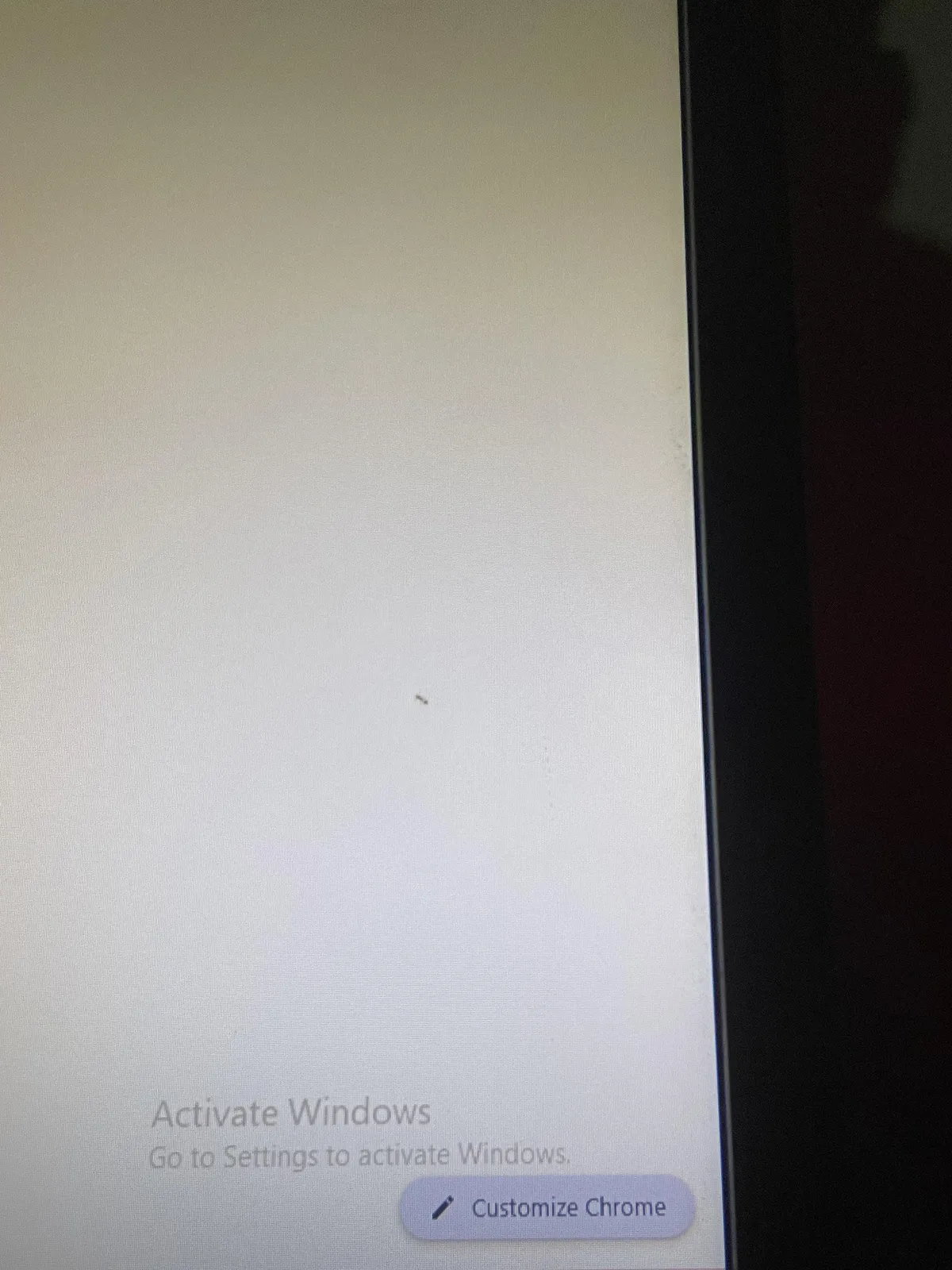 An ant got inside my monitor and i killed it