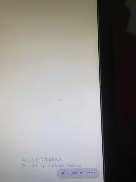 An ant got inside my monitor and i killed it