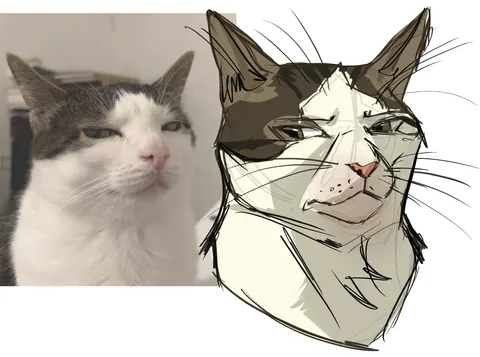 Send a funny pic of your cat and I'll sketch it!