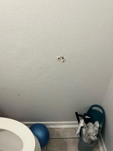 Had a drunk friend rip out our toilet paper holder while vomiting in a house I’m renting. How can I properly fix this?